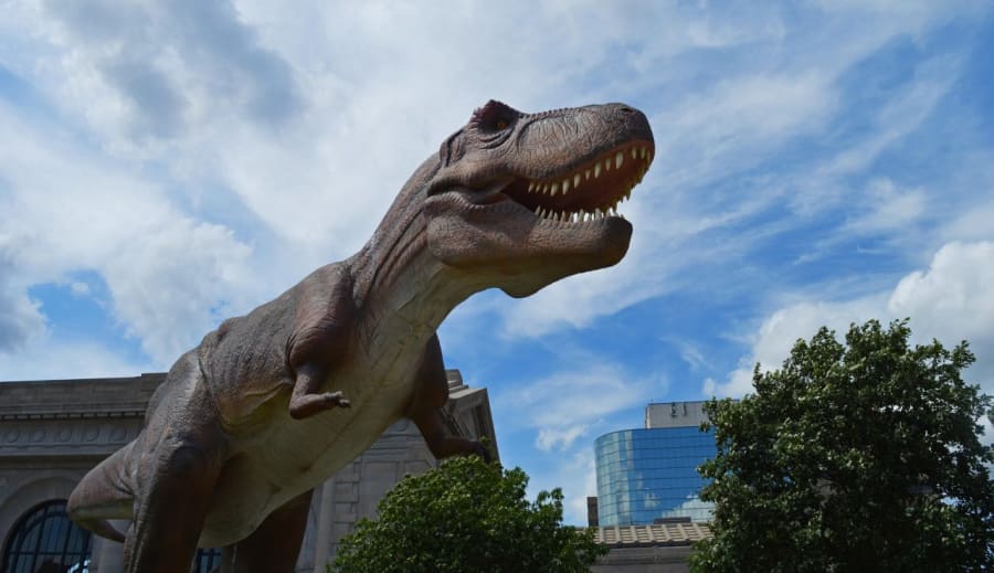 Dinoszauruszok: A földtörténet titokzatos urai