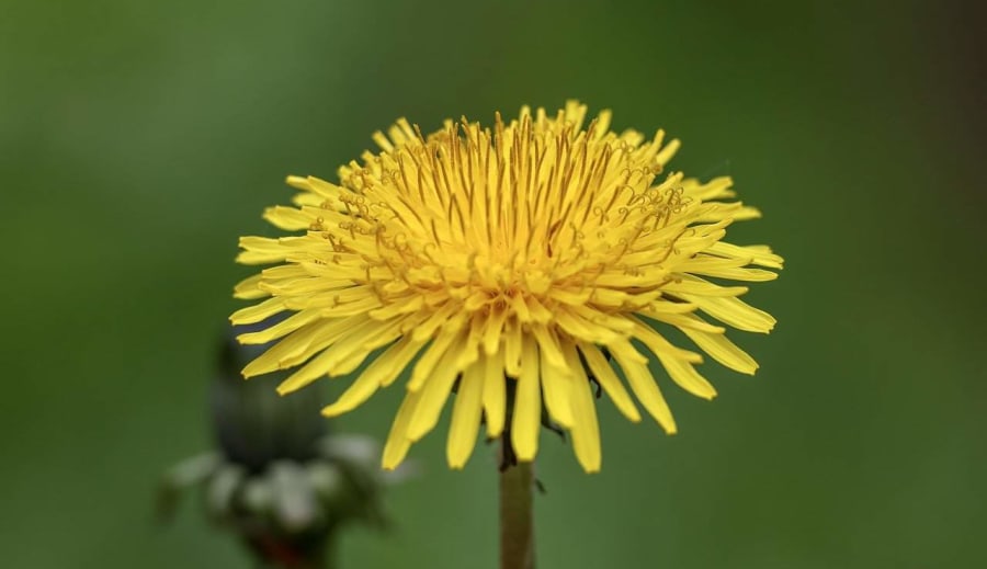 Fejlődés spirituális szemmel