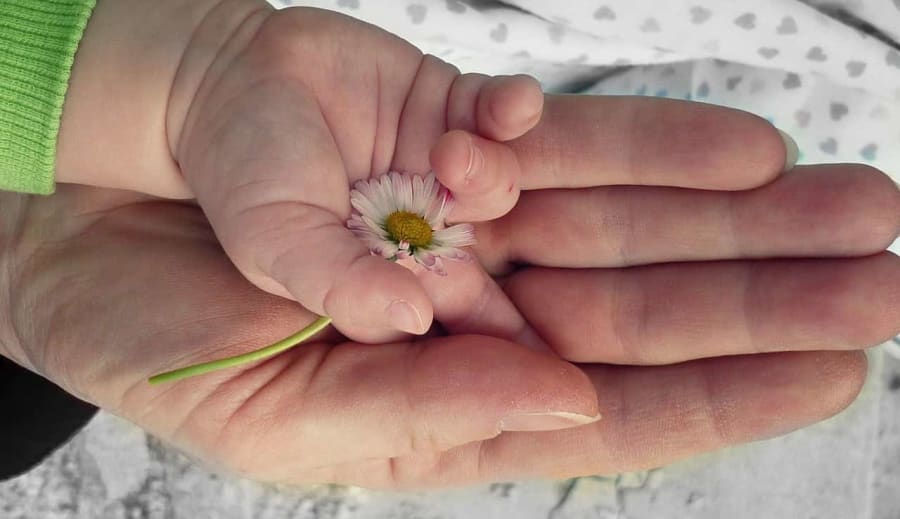 Felelősségvállalás