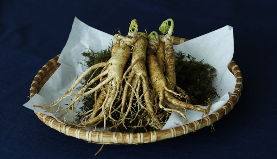 Ginseng