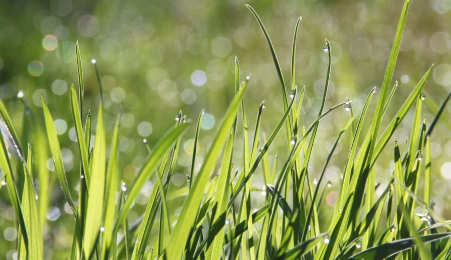 Gyógyászati alkalmatosságok a régi időkből