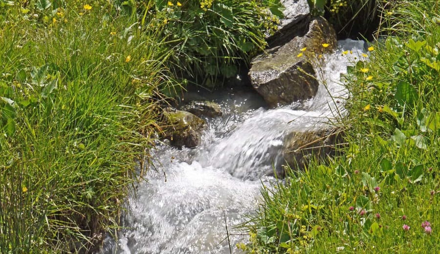 Hegyi forrás barlangja