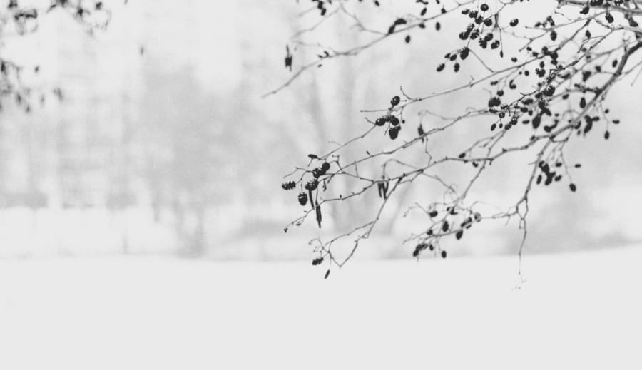 Január: A Test és Lélek Megújulása