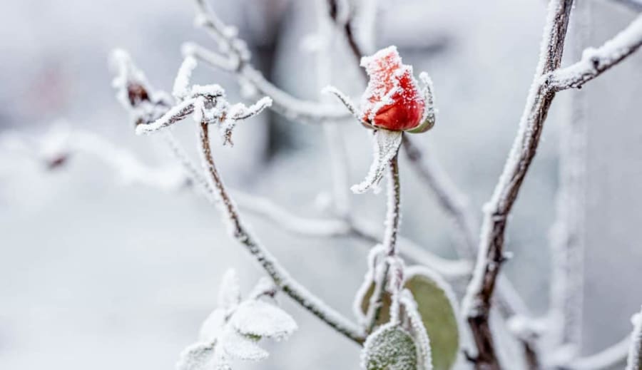 Január és a Családi Ünnepek: Téli Melegségek