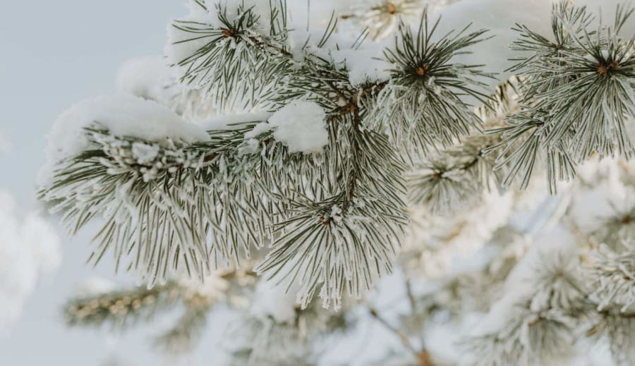 Januári Időjárás: A Tél Igazi Arca