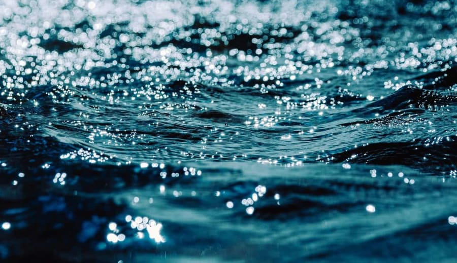 Mi tesz igazán emberré minket?