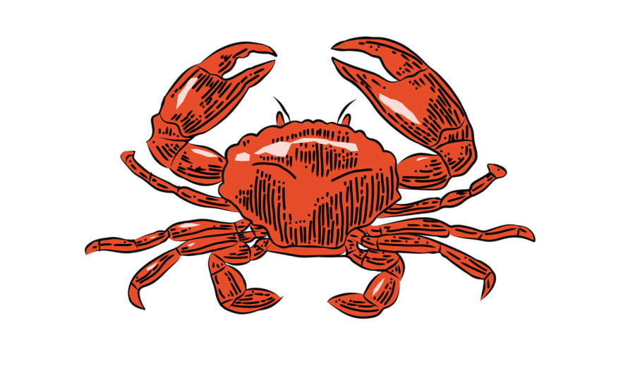 Milyen a RÁK jegyű gyermek az iskolában ha rosszalkodik