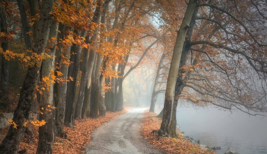 Nappalok rövidülése: A fény lassú eltűnése