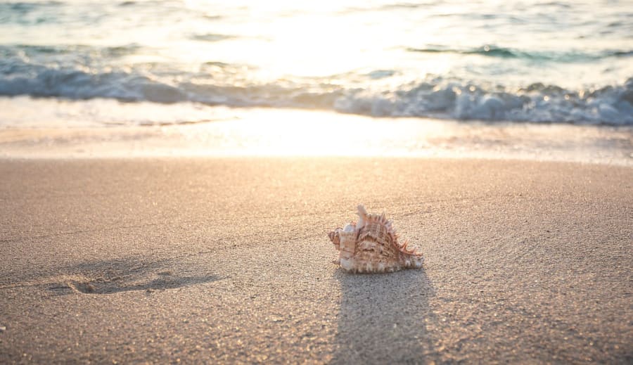 Nyári szórakozás: Kreatív ötletek a forró napokra