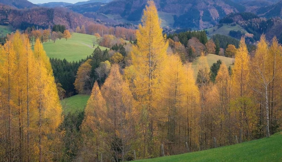 Ősszel a természet