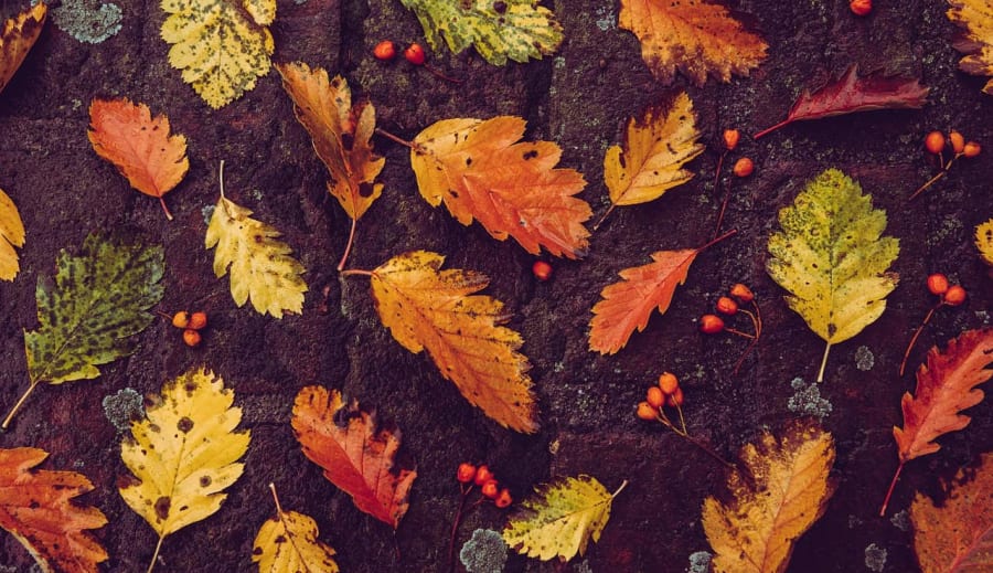 Őszi lakberendezés