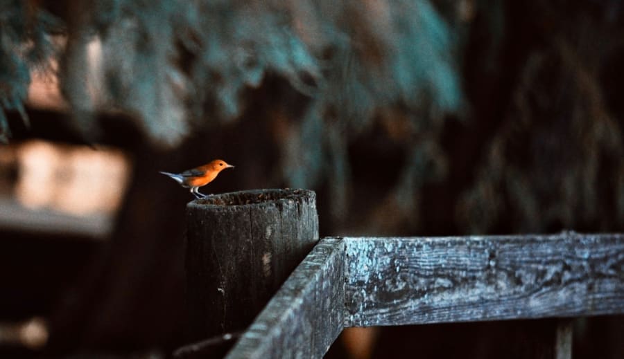 A kis jelek spirituális szerepe