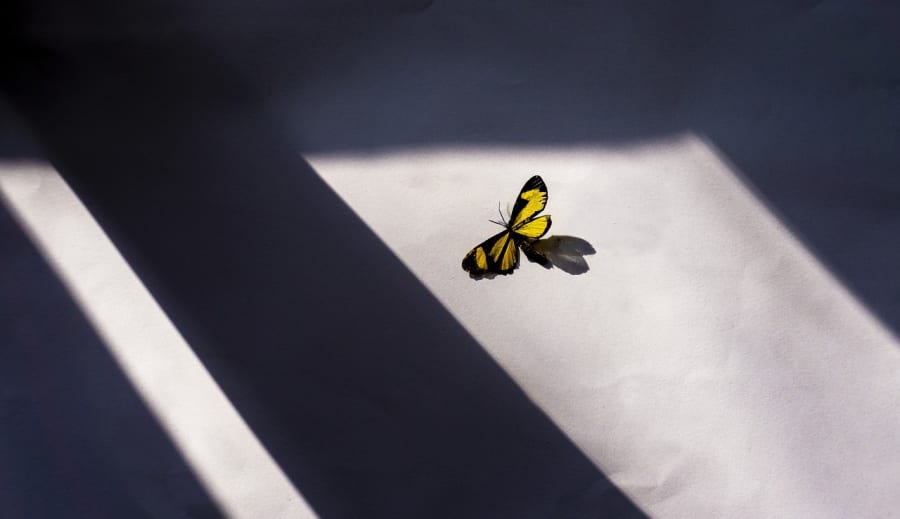 Szellemkommunikáció – szemmel látható jelek