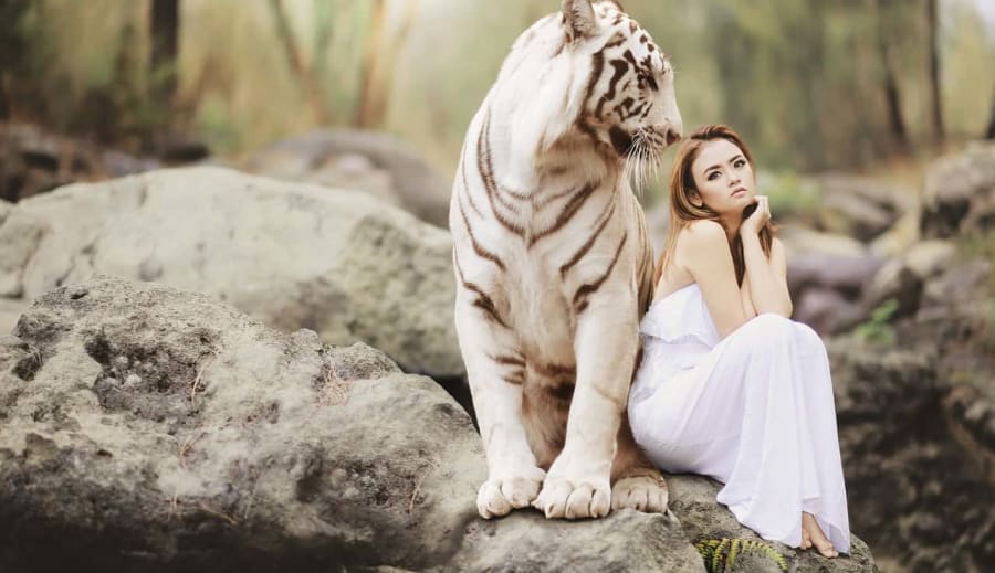 Szeretlek szó nem kifejezése