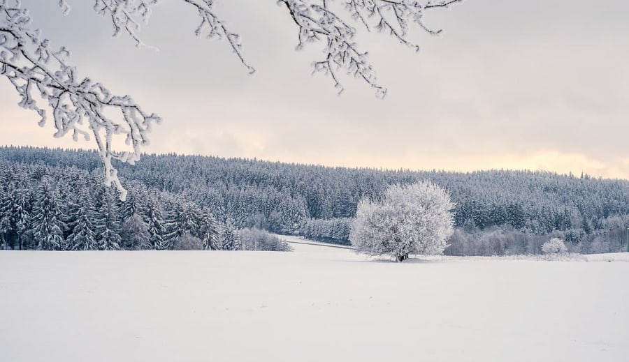 Téli Kertápolás: Hogyan Gondoskodj a Kertedről a Hidegben?