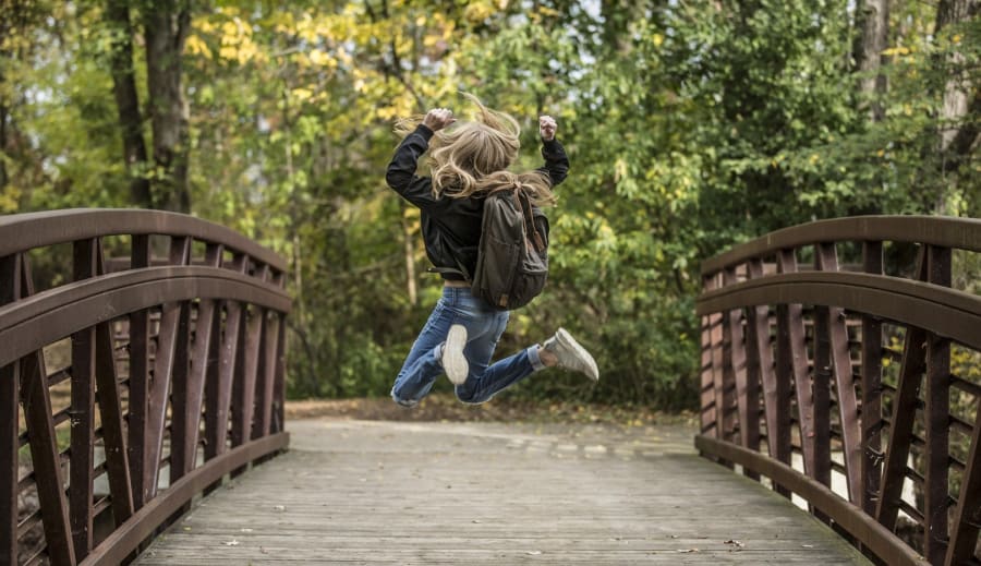 Framgång för Oxen i Hästens År 2026