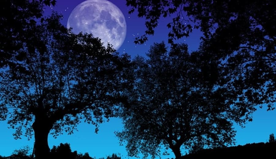 Fullmåne på fredag