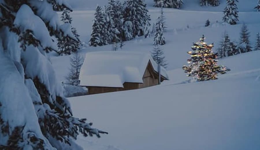 Hela världen är vit