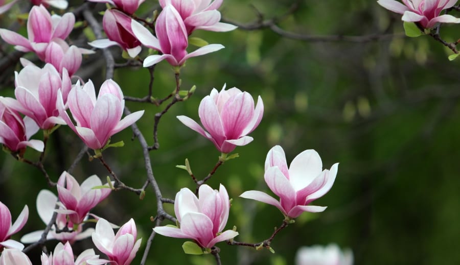 777 – Stjärnornas Tysta Bekräftelse