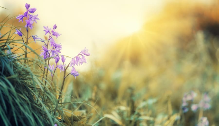 När balansen mellan ljus och mörker vänder