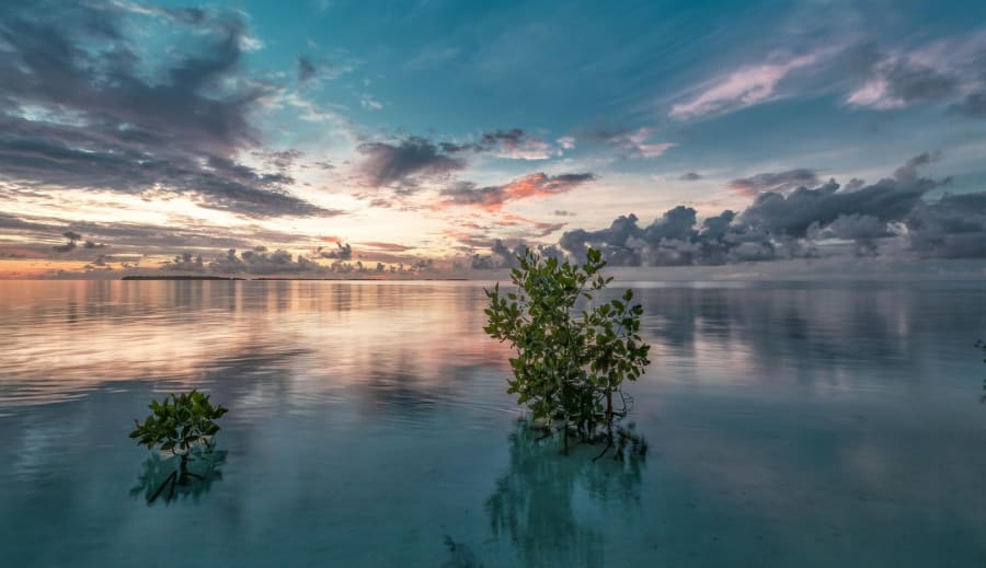 Solen möter Neptunus