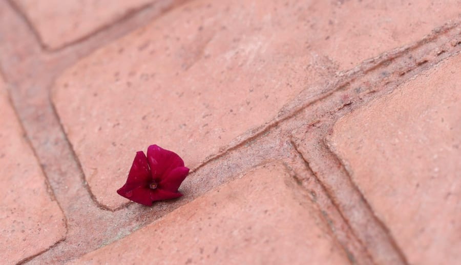 Lita på det som bor i dig