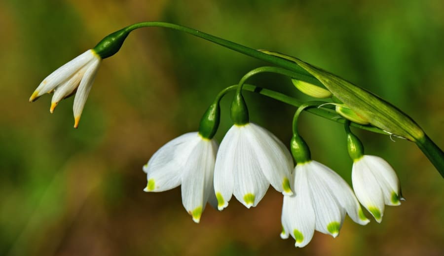I takt med årstidens skifte