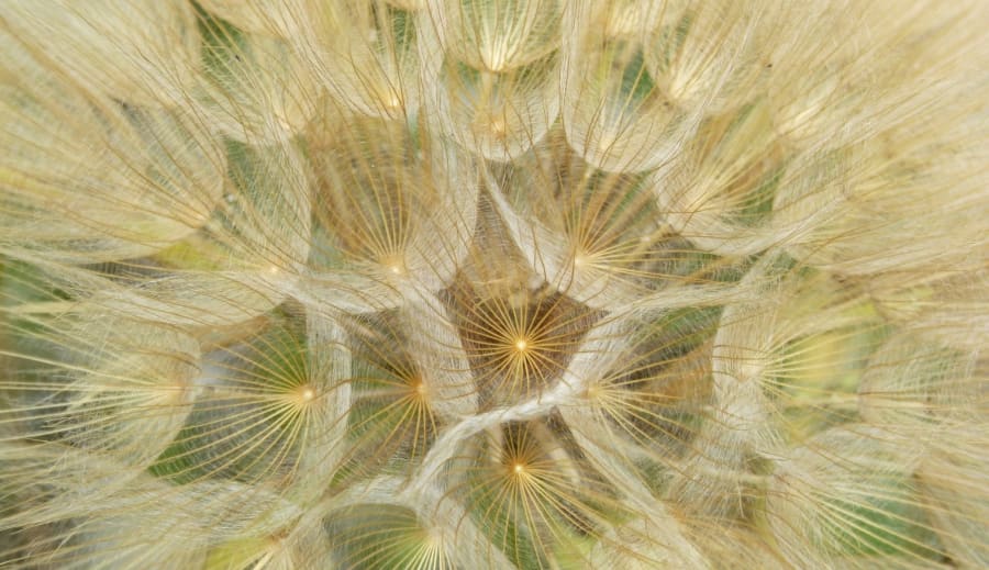 Änglabudskap - Ditt ljus behöver inte be o lov.