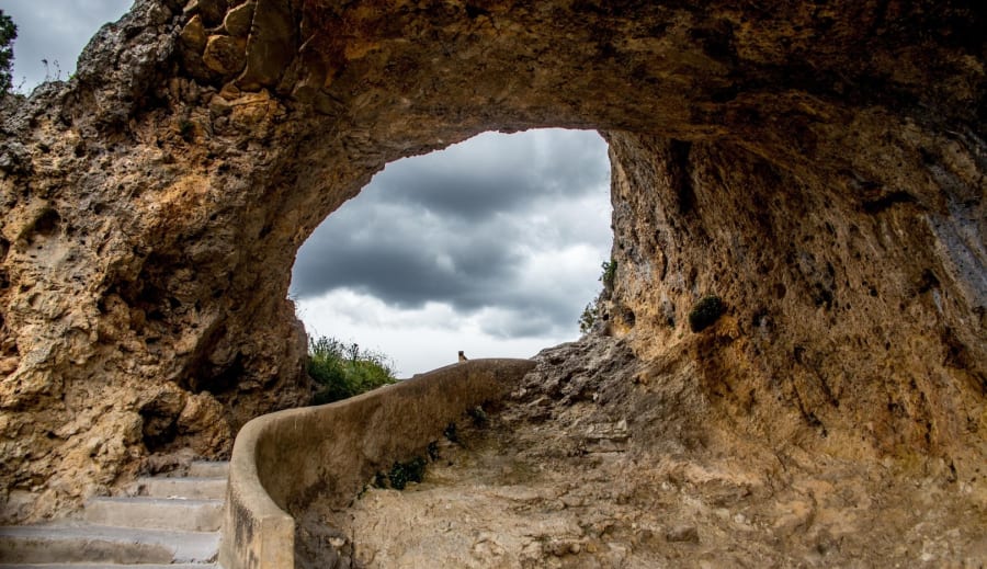 Disablotet hyllar livskraften
