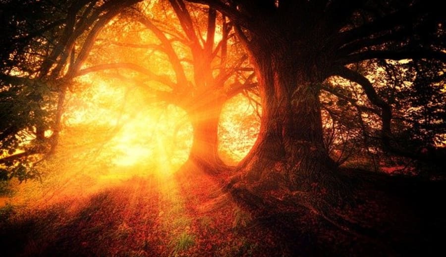 Midsommarens mystiska varelser !