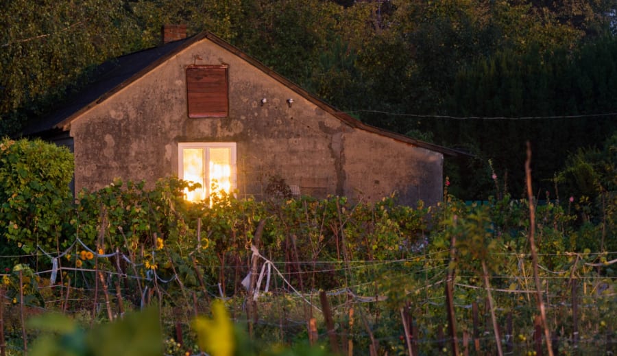 Släpp taget ikväll