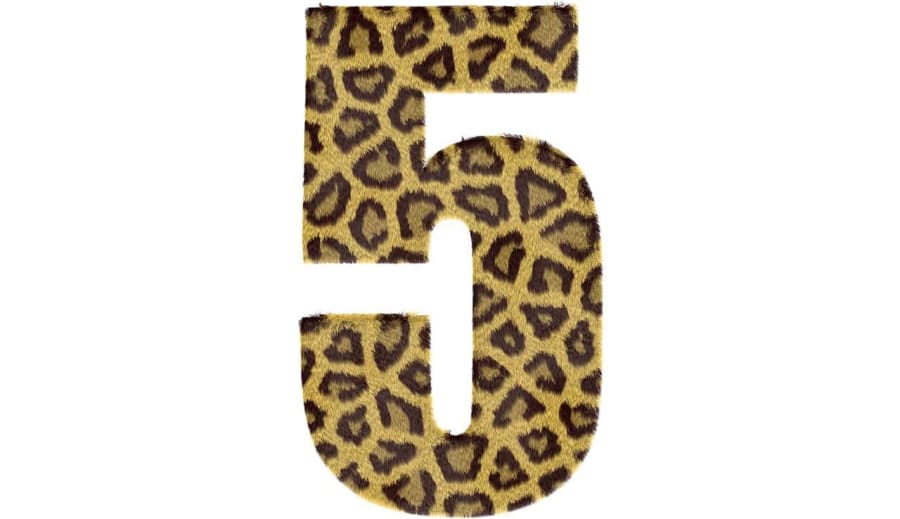 Vad betyder änglanummer 5 ?