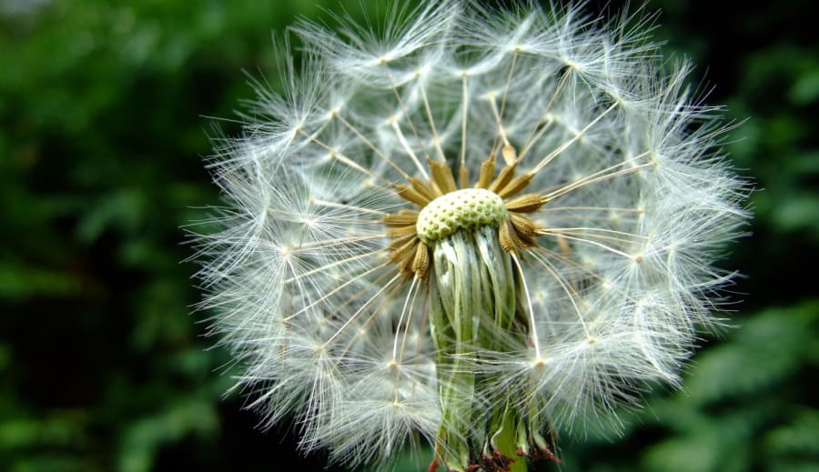 Dagens tarot – Där slut blir början