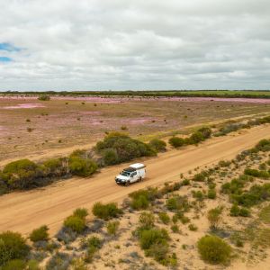 Wildflower Season in Western Australia