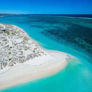 Explore the Top 10 Places along the Ningaloo Coast on your next 4WD adventure