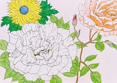 White and Orange Roses-Ukiyo-e