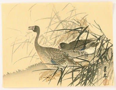 two geese, Imao Keinen, c. 1892, kacho-e