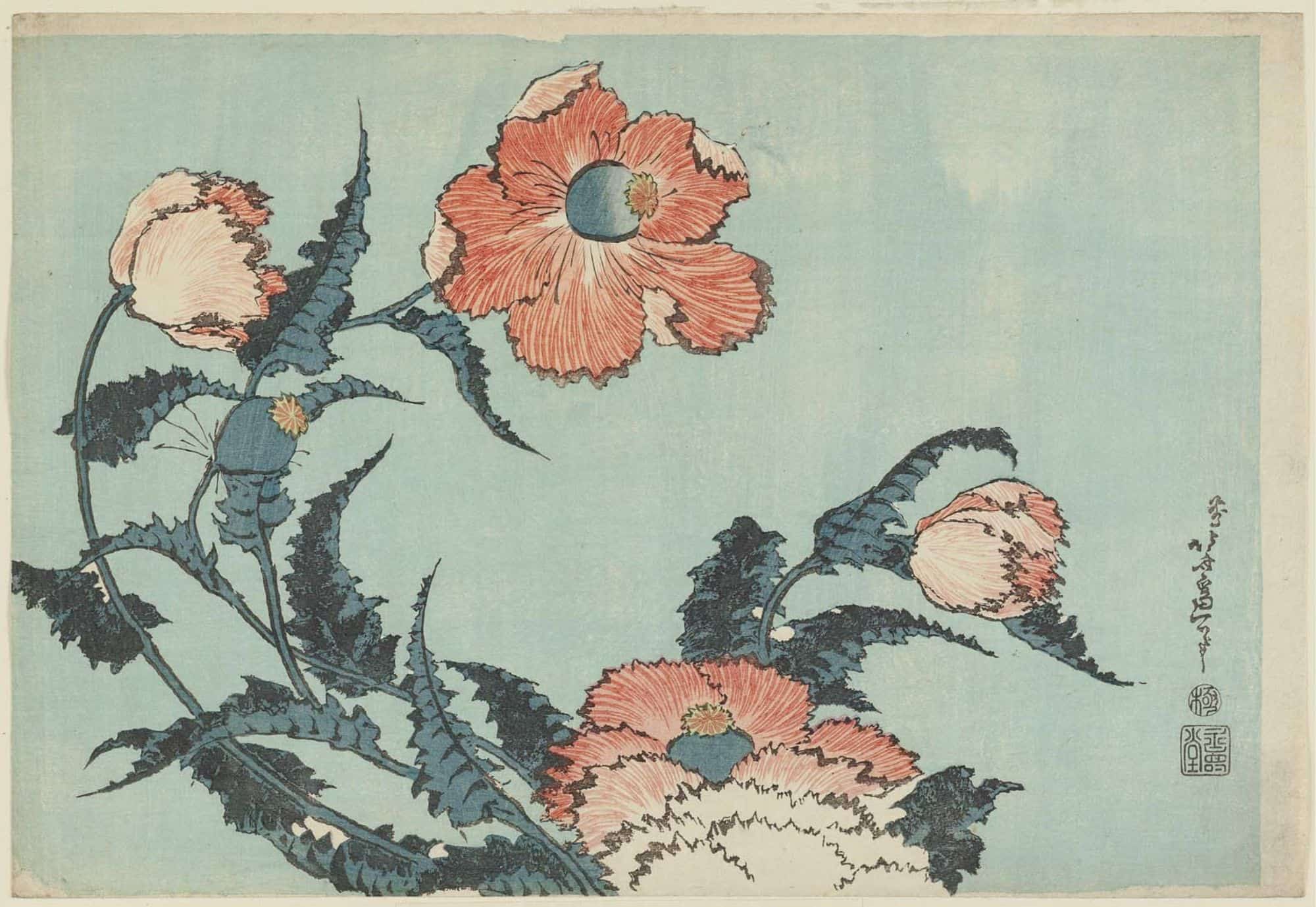 Poppies by hokusai, kacho-ga