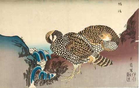 two pheasants by a stream, Kuwagata Keisai, c. Edo, kacho-e