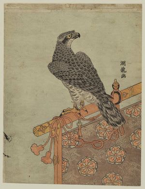 Falcon on Perch, Isoda Koryusai, c. Edo, kacho-e