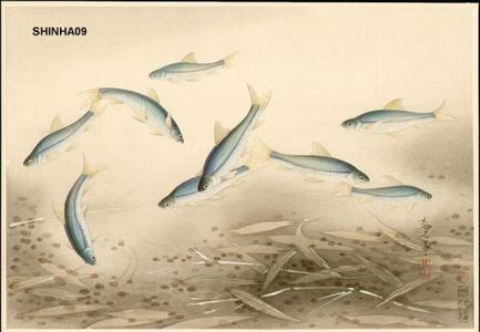 Familiar fishes, Bakufu ohno, c.1937, kacho-e
