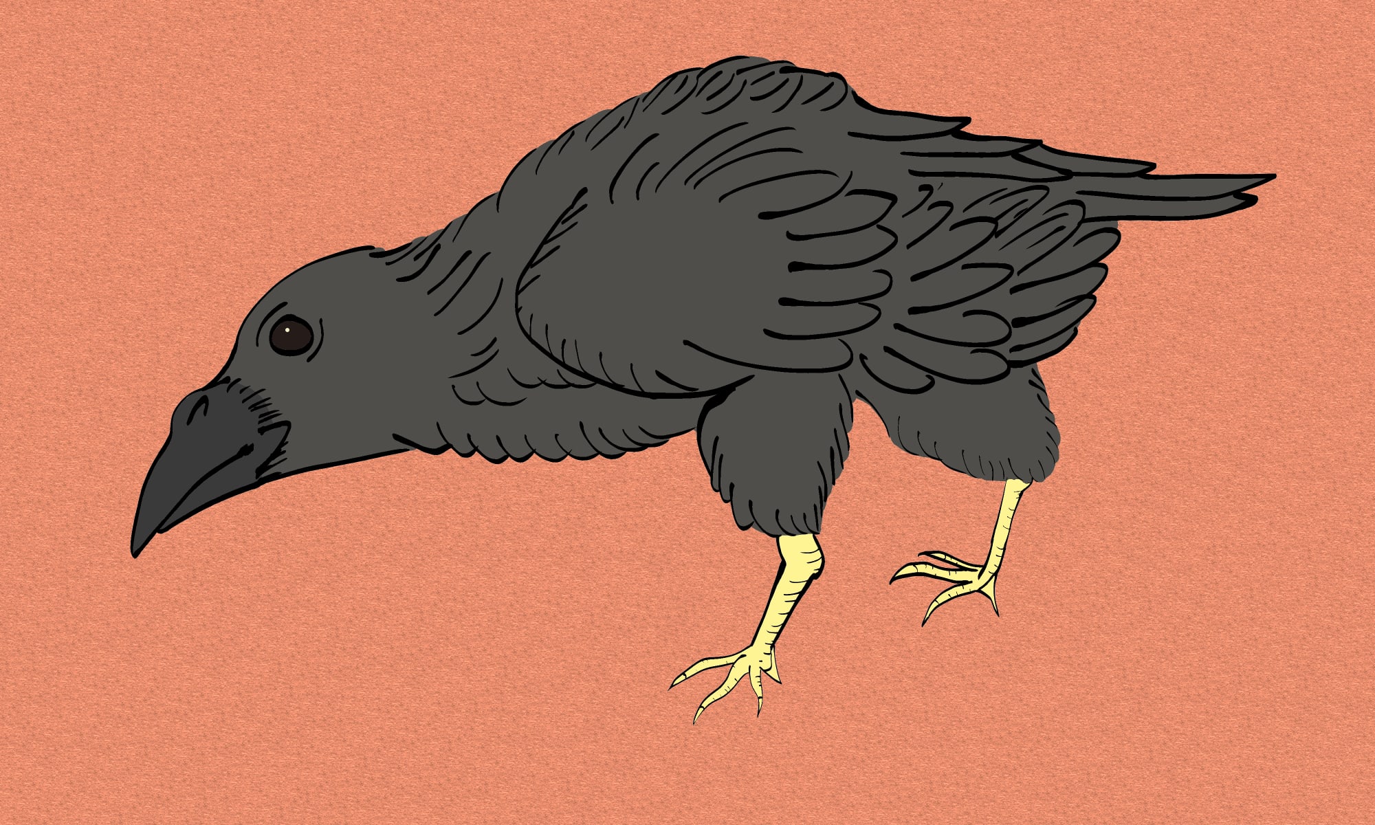 How To Draw Ukiyo E Series Crow Raven 赤火花 Red Sparkle