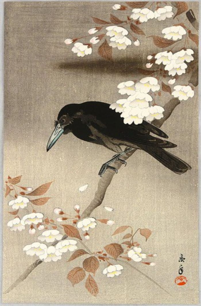 Crow and Cherry Blossoms (1930s) by Imao Keinen - ukiyo-e