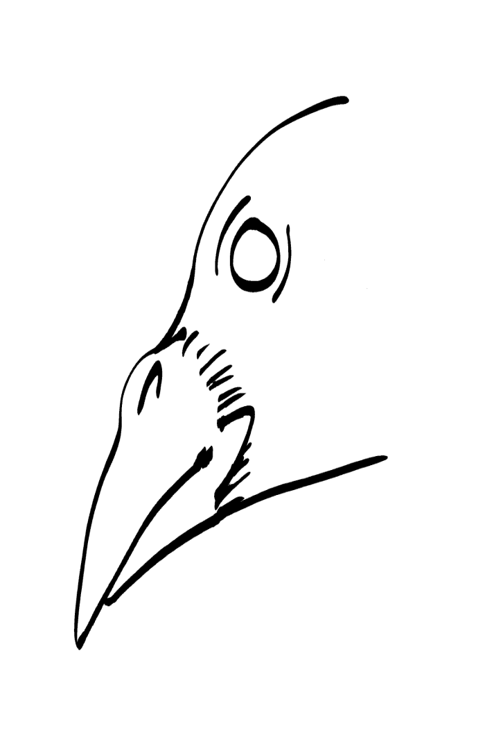 Crow Raven -ukiyo-e BlackandWhite 1 - beak(からす) by RedSparkle (11-2019)