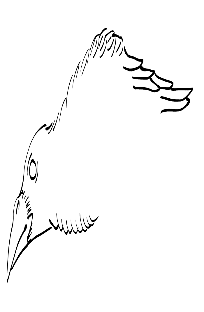 Crow Raven -ukiyo-e BlackandWhite3-(からす) by RedSparkle (11-2019)
