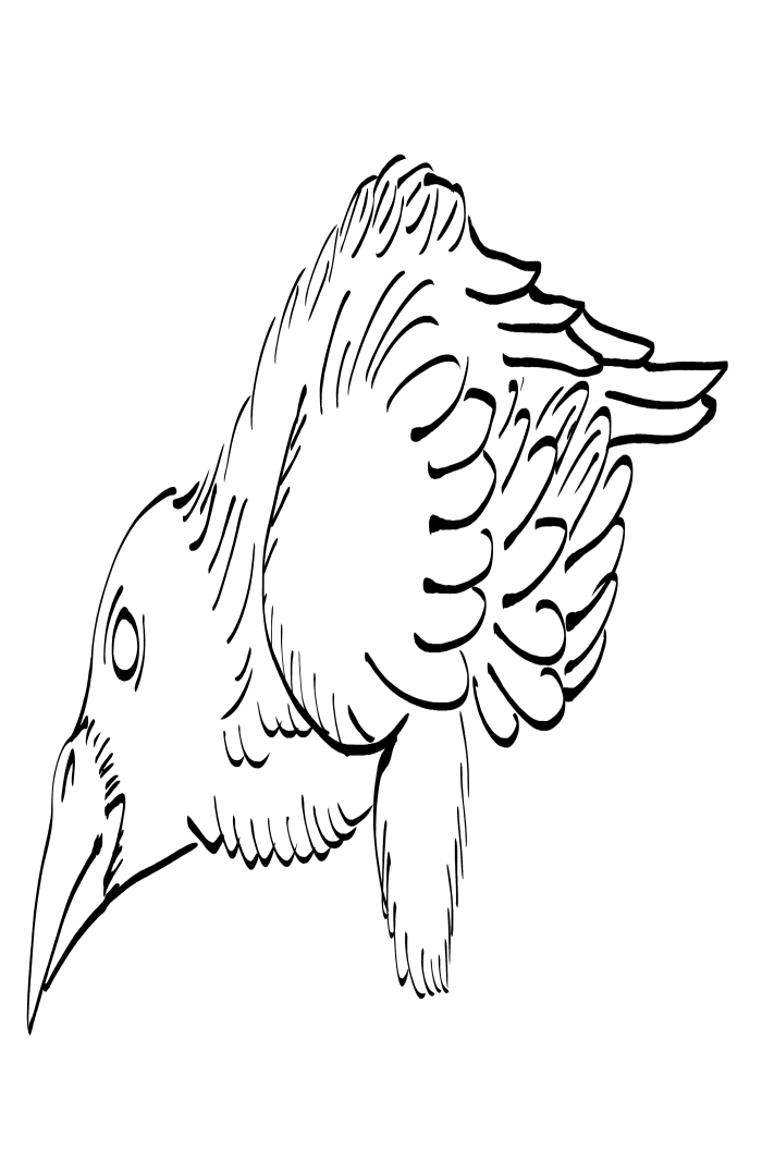 Crow Raven -ukiyo-e BlackandWhite6-(からす) by RedSparkle (11-2019)