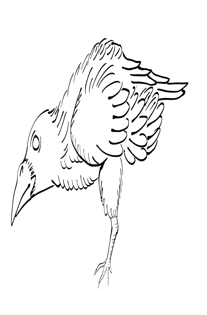 Crow Raven -ukiyo-e BlackandWhite7-(からす) by RedSparkle (11-2019)