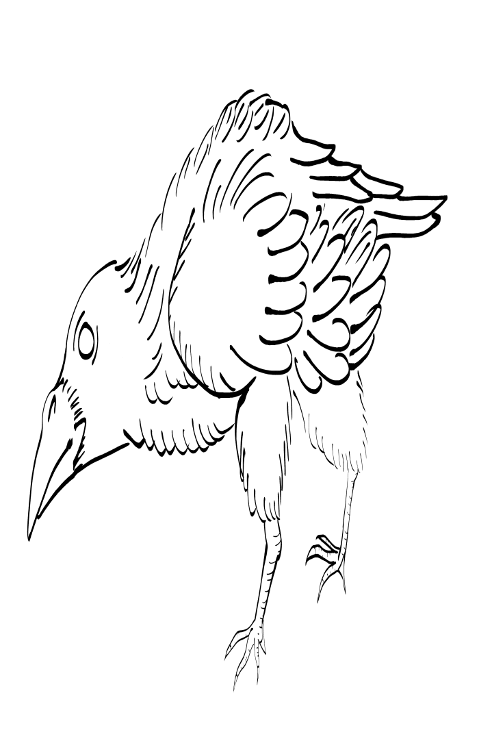 Crow Raven -ukiyo-e BlackandWhite8-(からす) by RedSparkle (11-2019)