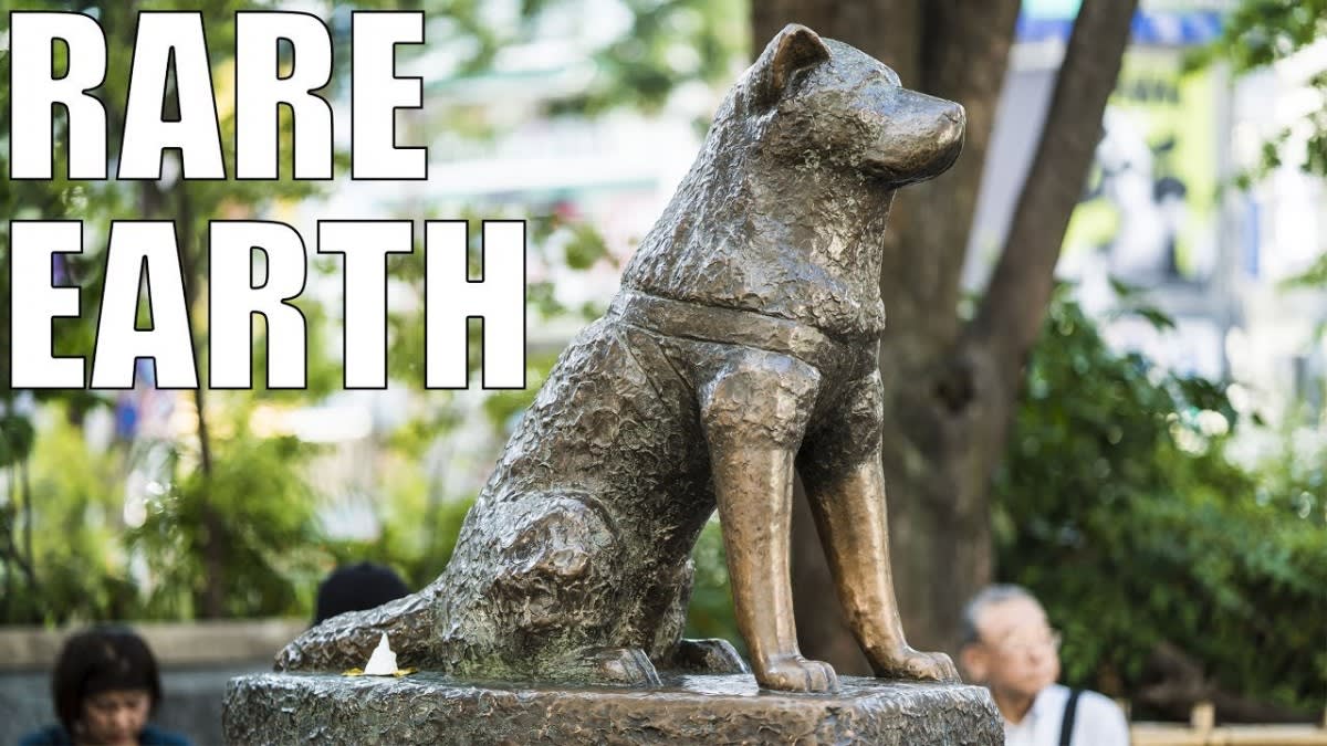 The Most Famous Dog Who Ever Lived Chris Hadfield s Rare Earth the-most-famous-dog-who-ever-lived-chris-hadfield-s-rare-earth
