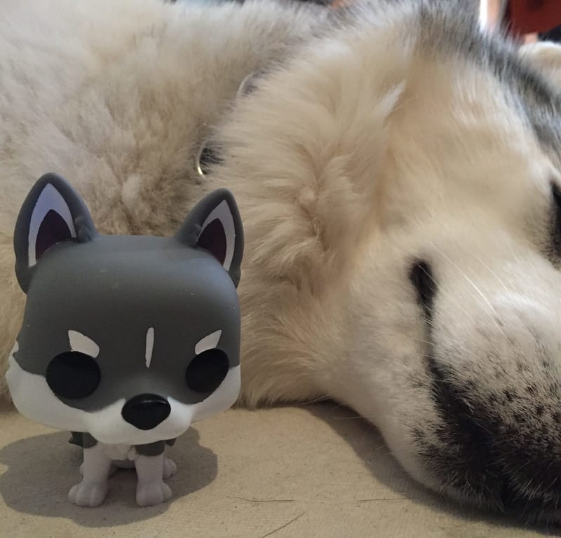 funko pop husky